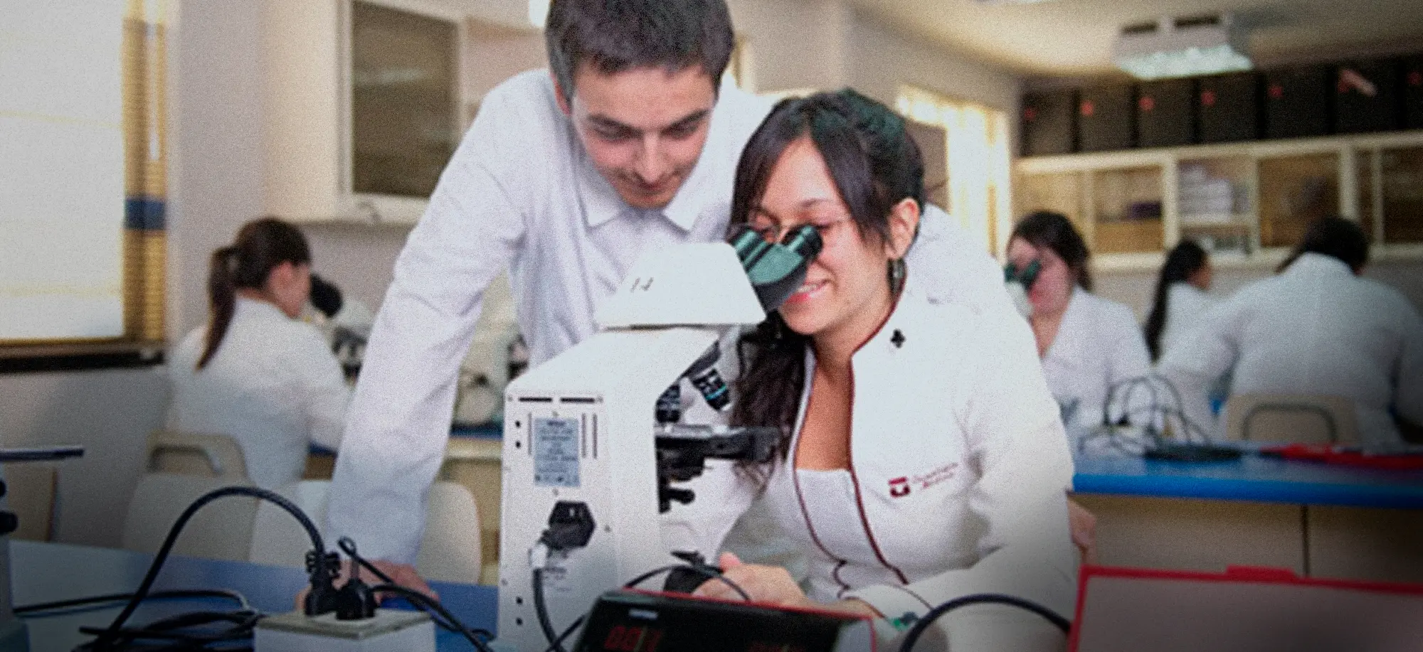 UMAG participa en nueva red de investigación universitaria “Ciencia para la innovación 2030″