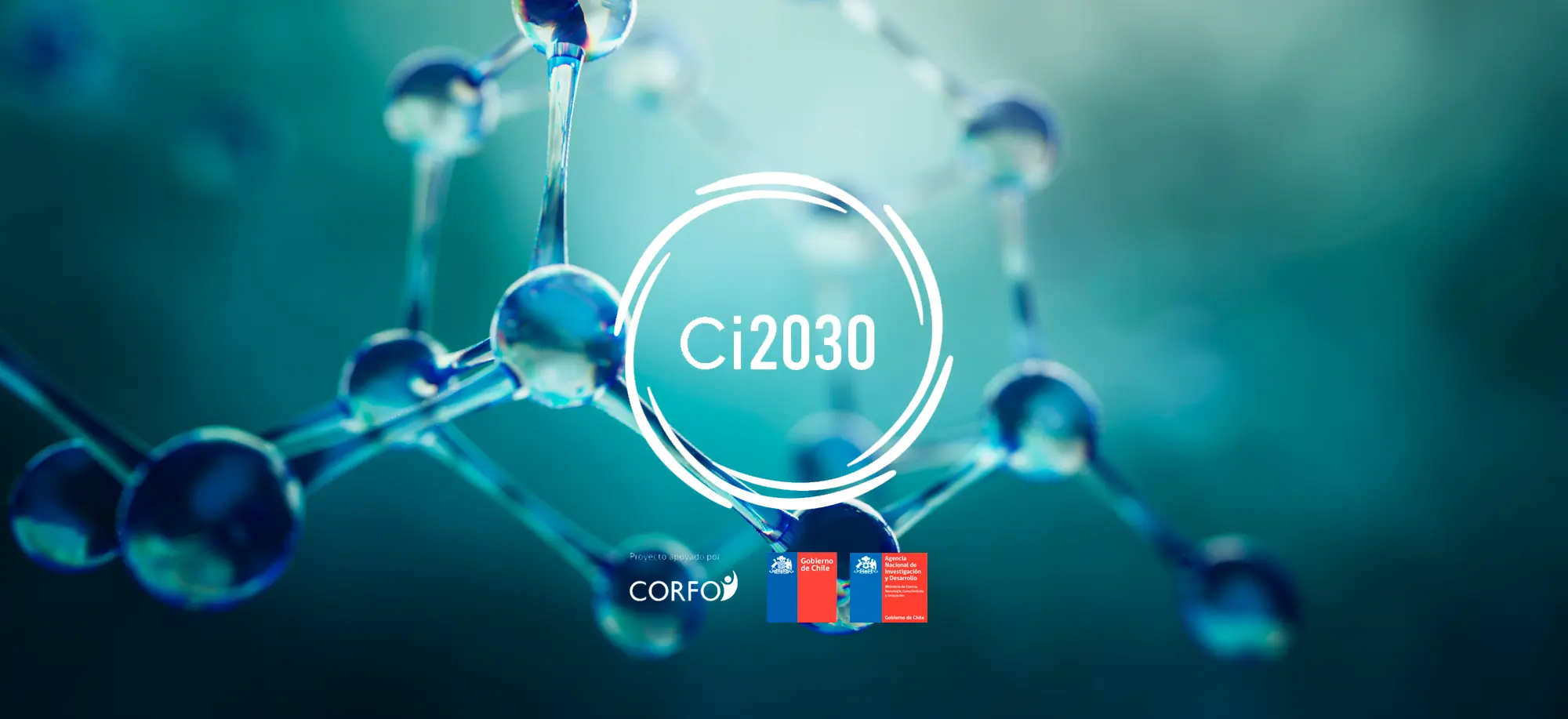 Aprobado 1º Informe a CORFO del Consorcio Sur-Subantártico Ci2030