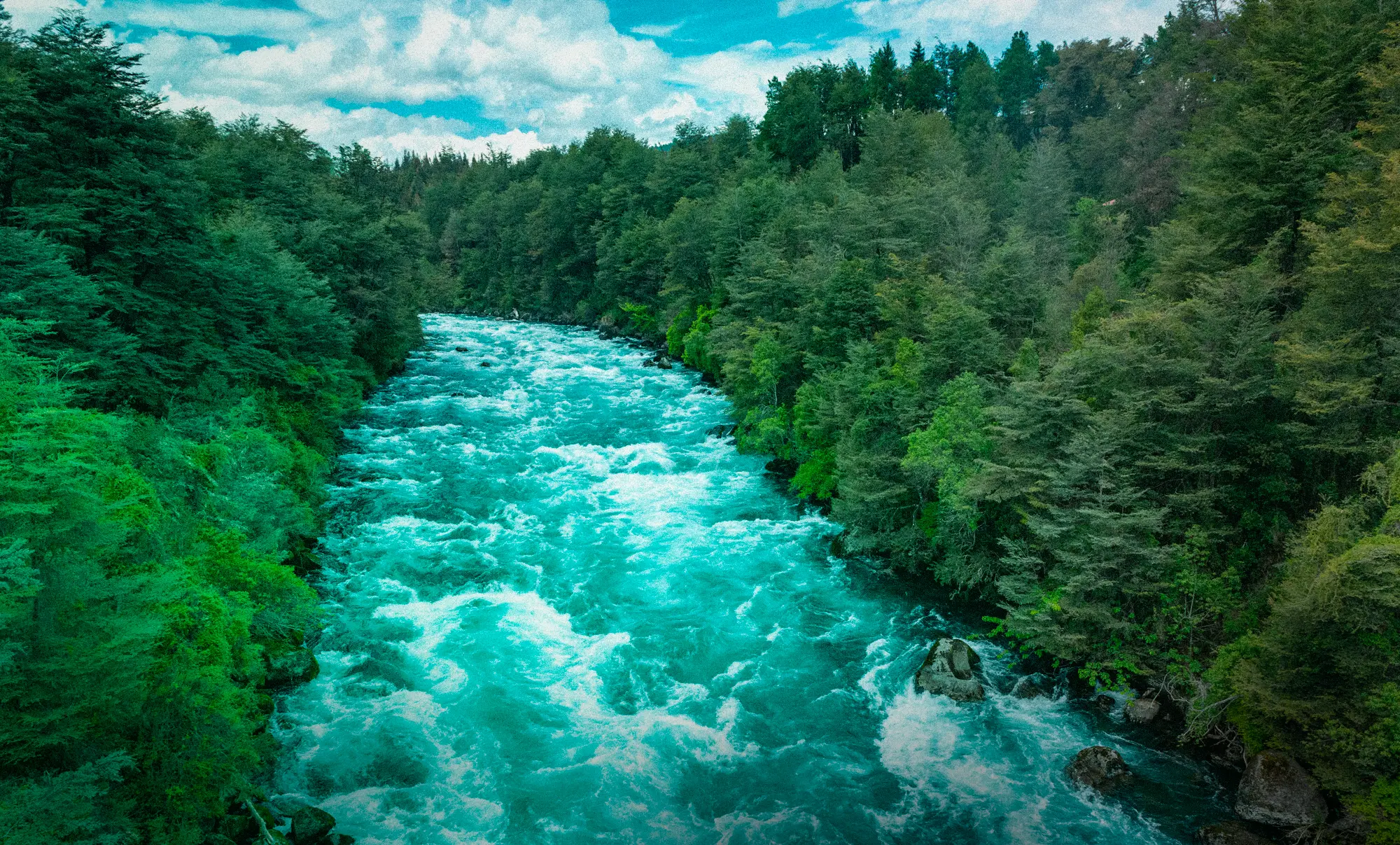 Exitosa convocatoria internacional del 1º Taller Iberoamericano de Especies Exóticas Invasoras de Sistemas Acuáticos
