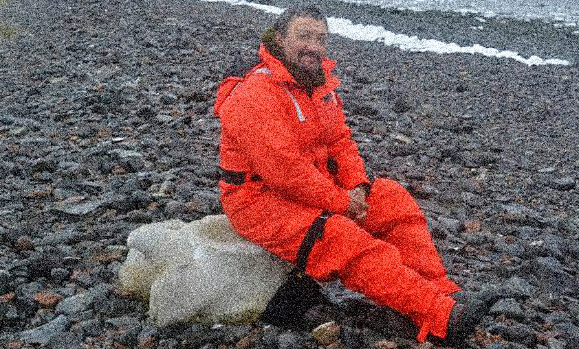 Encuentran nueva especie de esponja marina en el sur chileno