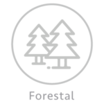 forestal
