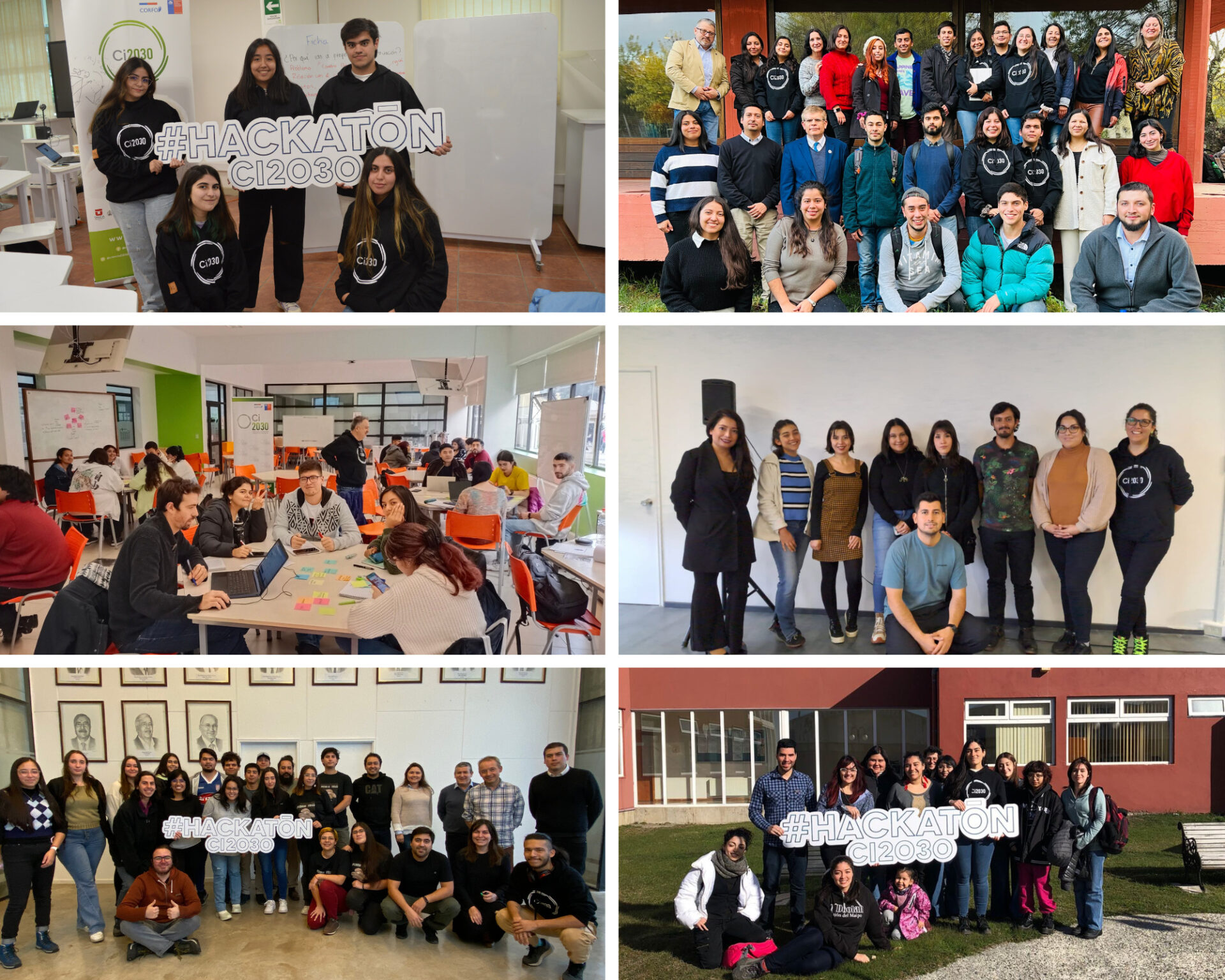 Estudiantes universitarios crean 23 proyectos para solucionar problemáticas agroalimentarias del sur de Chile