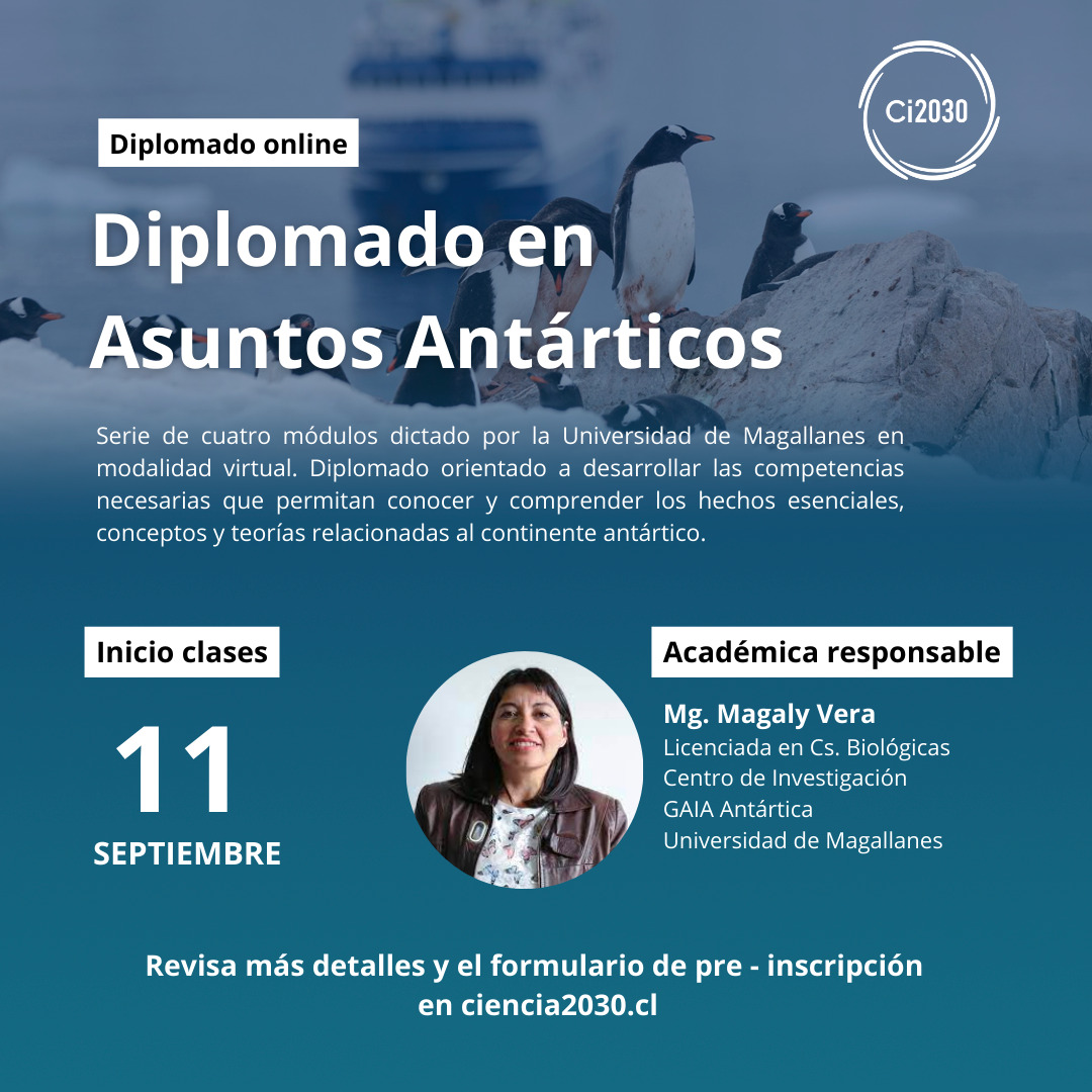 Ci2030 abre postulaciones para Diplomado en Asuntos Antárticos - Ci2030