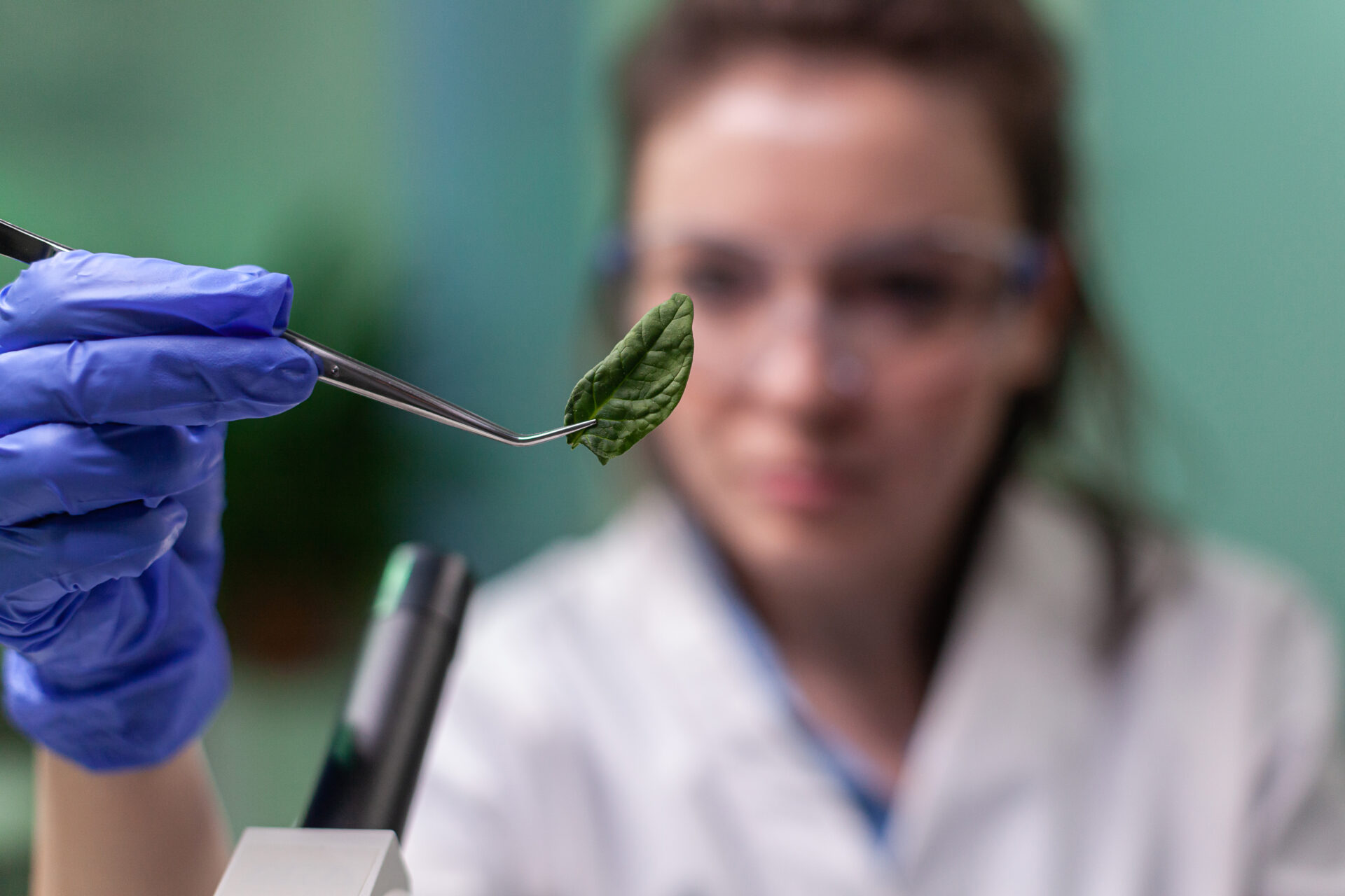 Magíster en Innovación Basada en Ciencias abre sus postulaciones